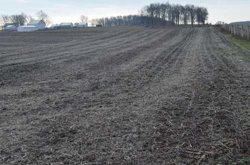 Property photo 64 - 98+/- Acres Offered in 6 Tracts or Combinations, Noble County, Indiana Farm